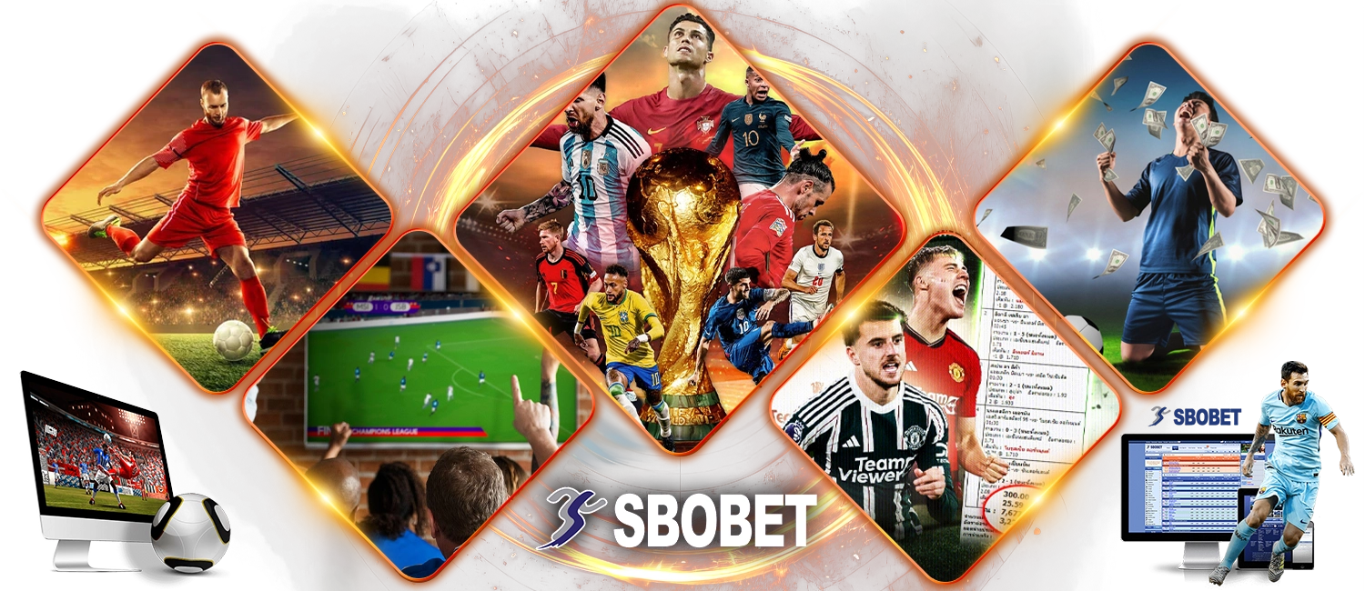 กีฬา - way168